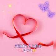 ヒメ日記 2025/12/12 22:44 投稿 せつこ 完熟ばなな 上野店