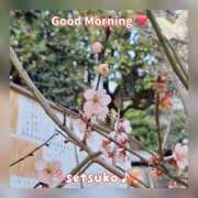 ヒメ日記 2026/01/14 09:56 投稿 せつこ 完熟ばなな 上野店