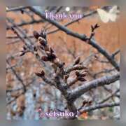 ヒメ日記 2026/01/16 00:06 投稿 せつこ 完熟ばなな 上野店