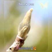 せつこ ♬完熟ばなな上野店・せつこ♪ 完熟ばなな 上野店