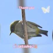 ヒメ日記 2026/01/28 10:36 投稿 せつこ 完熟ばなな 上野店