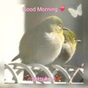 ヒメ日記 2026/02/13 10:51 投稿 せつこ 完熟ばなな 上野店