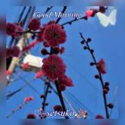 せつこ ♬完熟ばなな上野店・せつこ♪ 完熟ばなな 上野店