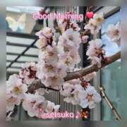 ヒメ日記 2026/02/25 10:06 投稿 せつこ 完熟ばなな 上野店