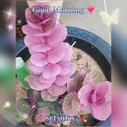 ヒメ日記 2026/02/28 10:26 投稿 せつこ 完熟ばなな 上野店