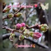 ヒメ日記 2026/03/04 10:56 投稿 せつこ 完熟ばなな 上野店