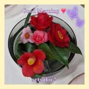 ヒメ日記 2026/03/13 09:36 投稿 せつこ 完熟ばなな 上野店