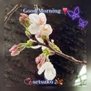 ヒメ日記 2026/03/20 11:16 投稿 せつこ 完熟ばなな 上野店