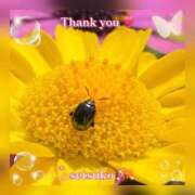 ヒメ日記 2026/03/21 12:56 投稿 せつこ 完熟ばなな 上野店