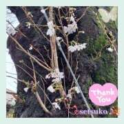 せつこ ♬完熟ばなな上野店・せつこ♪ 完熟ばなな 上野店