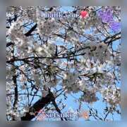 せつこ ☆★☆ご予約ありがとうございます🥰️💝♬完熟ばなな上野店・せつこ♪ 完熟ばなな 上野店