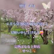 せつこ ☆★☆卯月 4月 引き続きどうぞ宜しくお願い申し上げます💝♬完熟ばなな上野店・せつこ♪ 完熟ばなな 上野店