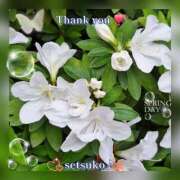 せつこ ♬完熟ばなな上野店・せつこ♪ 完熟ばなな 上野店