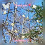 せつこ ♬完熟ばなな上野店・せつこ♪ 完熟ばなな 上野店