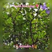 ヒメ日記 2026/04/18 10:46 投稿 せつこ 完熟ばなな 上野店