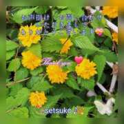ヒメ日記 2026/04/20 11:46 投稿 せつこ 完熟ばなな 上野店