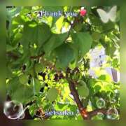 ヒメ日記 2026/04/24 10:36 投稿 せつこ 完熟ばなな 上野店