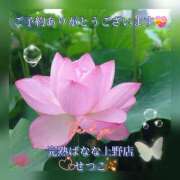 せつこ ☆★☆嬉しい貸切ご予約ありがとうございます💝♬完熟ばなな上野店・せつこ♪ 完熟ばなな 上野店