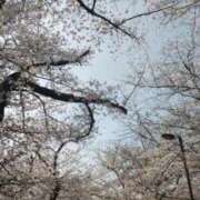 ヒメ日記 2026/03/31 17:15 投稿 須田 鶯谷人妻城