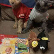 ヒメ日記 2024/12/25 19:12 投稿 そあ YESグループ TSUBAKI FIRST