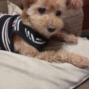 ヒメ日記 2024/12/30 22:24 投稿 そあ YESグループ TSUBAKI FIRST