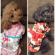 ヒメ日記 2025/01/01 00:20 投稿 そあ YESグループ TSUBAKI FIRST