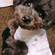 ヒメ日記 2025/03/03 07:54 投稿 そあ YESグループ TSUBAKI FIRST