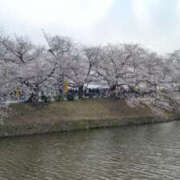 ヒメ日記 2025/03/31 19:21 投稿 そあ YESグループ TSUBAKI FIRST