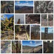 ヒメ日記 2025/04/15 00:10 投稿 そあ YESグループ TSUBAKI FIRST