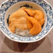 ヒメ日記 2025/04/21 22:36 投稿 そあ YESグループ TSUBAKI FIRST