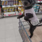 ヒメ日記 2025/05/16 21:06 投稿 そあ YESグループ TSUBAKI FIRST