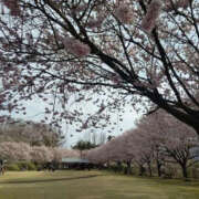 ヒメ日記 2025/05/21 18:03 投稿 そあ YESグループ TSUBAKI FIRST