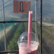 ヒメ日記 2025/05/22 07:09 投稿 そあ YESグループ TSUBAKI FIRST