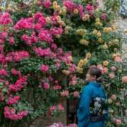 ヒメ日記 2025/06/10 19:56 投稿 そあ YESグループ TSUBAKI FIRST