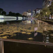 ヒメ日記 2025/06/20 00:03 投稿 そあ YESグループ TSUBAKI FIRST