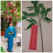 ヒメ日記 2025/07/07 18:03 投稿 そあ YESグループ TSUBAKI FIRST