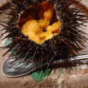 ヒメ日記 2025/07/23 23:15 投稿 そあ YESグループ TSUBAKI FIRST