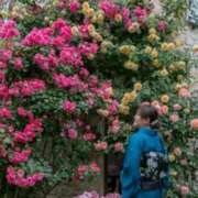 ヒメ日記 2025/09/29 23:52 投稿 そあ YESグループ TSUBAKI FIRST