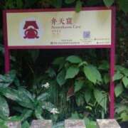 ヒメ日記 2025/10/15 16:42 投稿 そあ YESグループ TSUBAKI FIRST