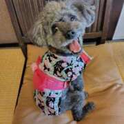 ヒメ日記 2025/10/19 16:11 投稿 そあ YESグループ TSUBAKI FIRST