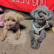 ヒメ日記 2025/11/11 22:49 投稿 そあ YESグループ TSUBAKI FIRST