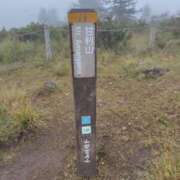 ヒメ日記 2025/11/14 21:03 投稿 そあ YESグループ TSUBAKI FIRST