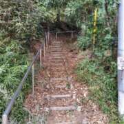 ヒメ日記 2025/11/19 22:53 投稿 そあ YESグループ TSUBAKI FIRST