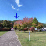 ヒメ日記 2025/11/21 12:09 投稿 そあ YESグループ TSUBAKI FIRST