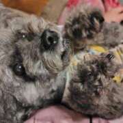 ヒメ日記 2025/11/25 00:04 投稿 そあ YESグループ TSUBAKI FIRST