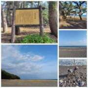 ヒメ日記 2025/12/09 00:09 投稿 そあ YESグループ TSUBAKI FIRST