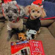 ヒメ日記 2025/12/25 16:01 投稿 そあ YESグループ TSUBAKI FIRST