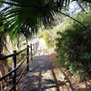 ヒメ日記 2026/01/09 06:39 投稿 そあ YESグループ TSUBAKI FIRST