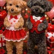 ヒメ日記 2026/02/19 10:03 投稿 そあ YESグループ TSUBAKI FIRST