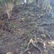 ヒメ日記 2026/03/02 20:31 投稿 そあ YESグループ TSUBAKI FIRST